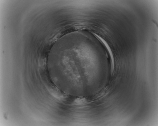 X0000099490271200805151414