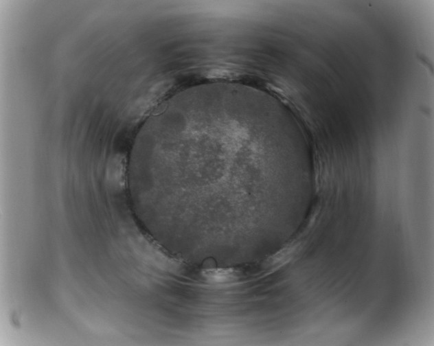 X0000099490273200805151414