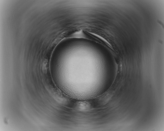 X0000099490275200805151414