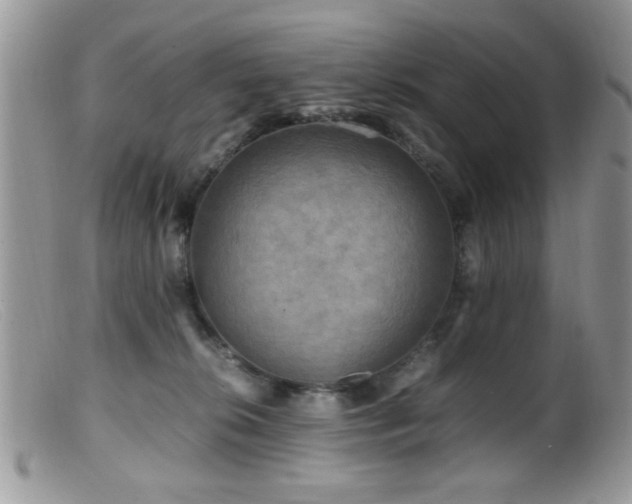 X0000099490276200805151414