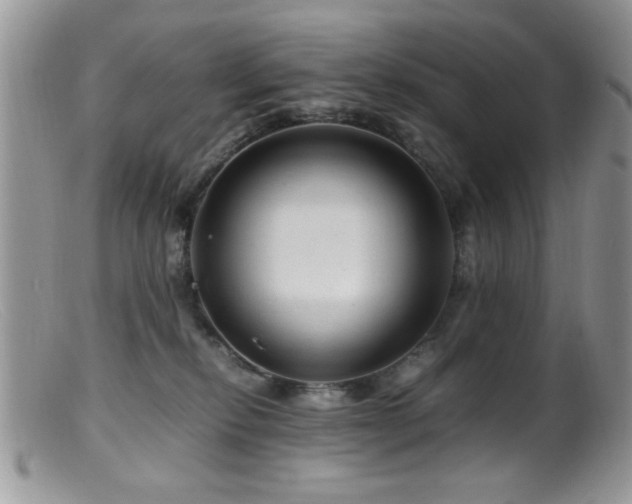 X0000099490278200805151414
