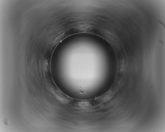 X0000099490279200805151414