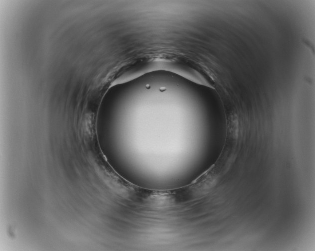 X0000099490280200805151414