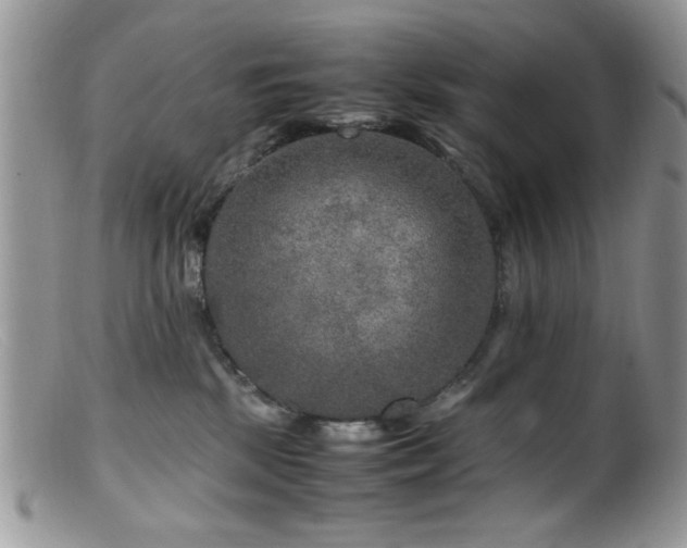 X0000099490281200805151414