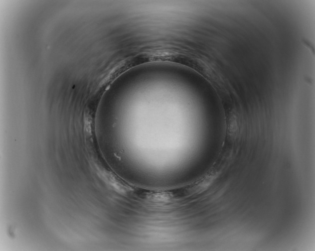 X0000099490282200805151414
