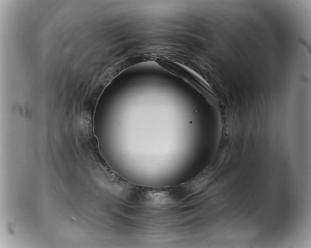 X0000099490283200805151414