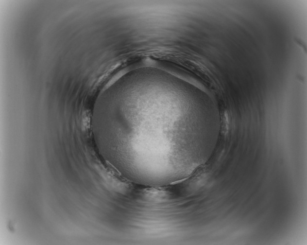 X0000099490284200805151414