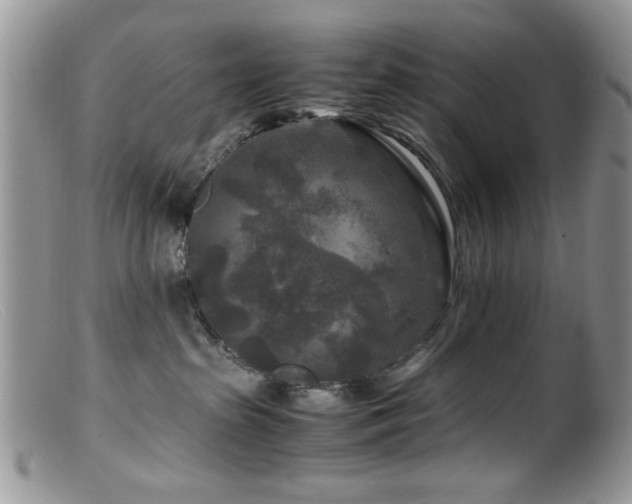 X0000099490285200805151414