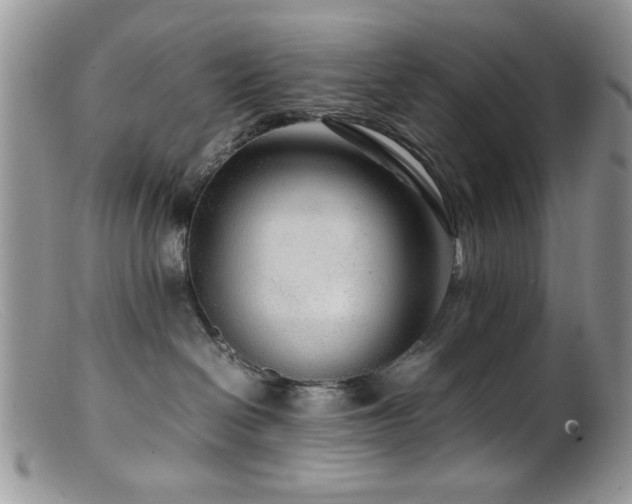 X0000099490286200805151414