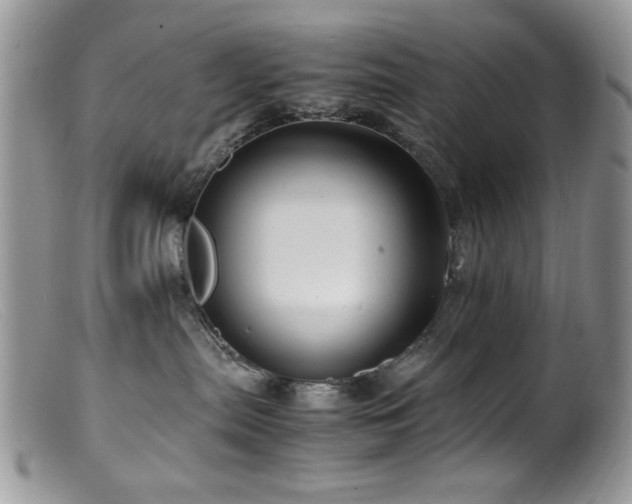 X0000099490287200805151414