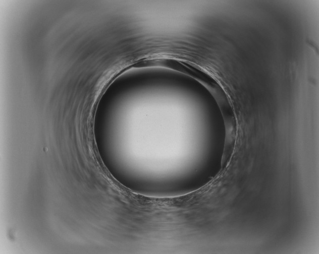 X0000099490289200805151414