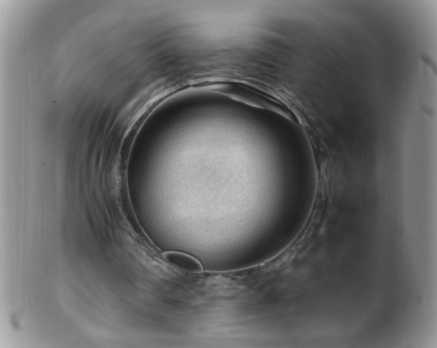 X0000099490290200805151414