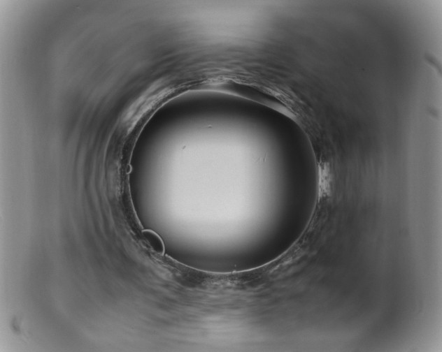 X0000099490291200805151414