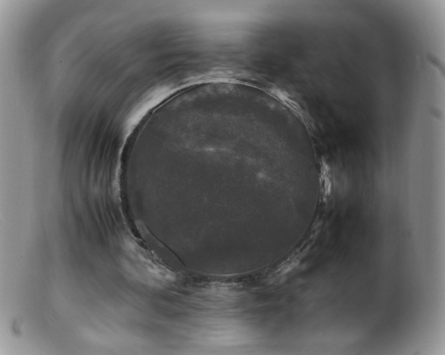 X0000099490292200805151414
