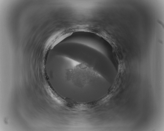 X0000099490293200805151414