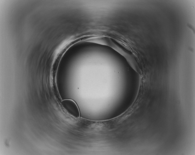 X0000099490294200805151414