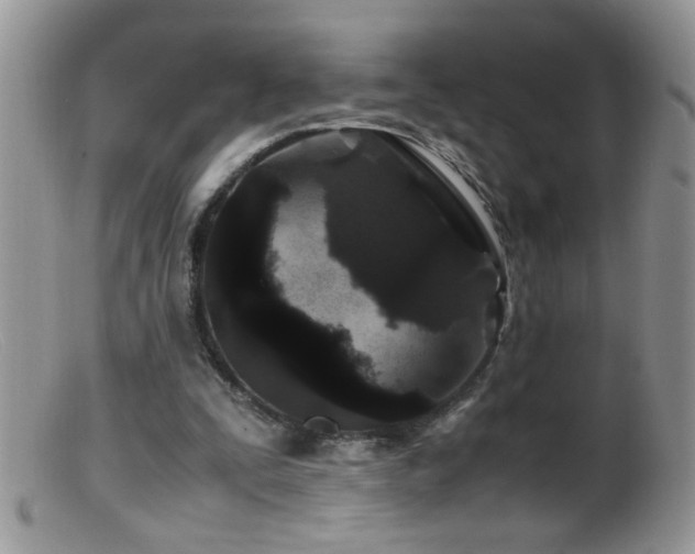 X0000099490295200805151414