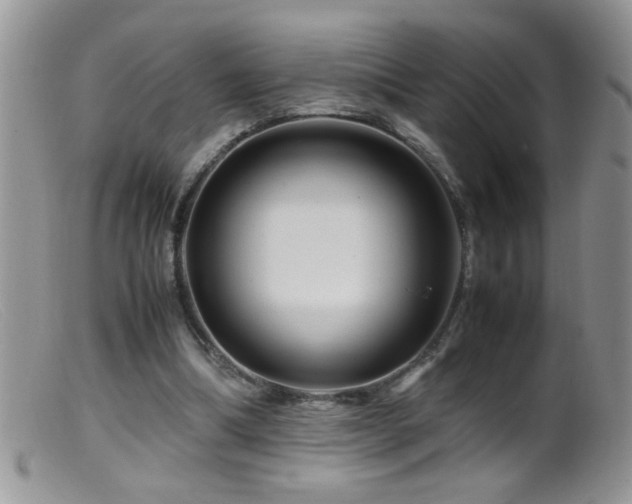 X0000099490298200805151414