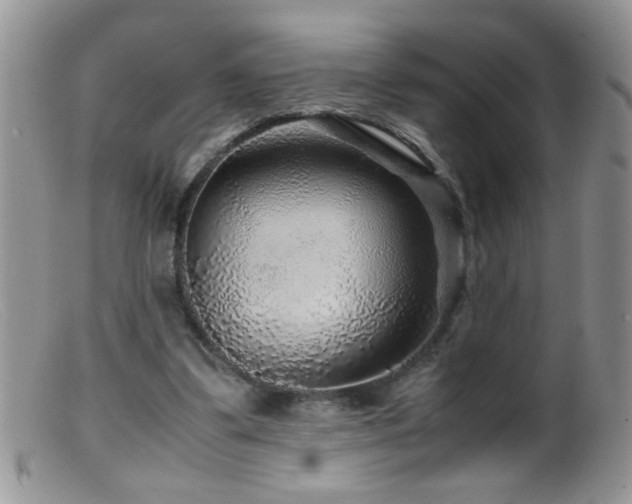 X0000099490299200805151414