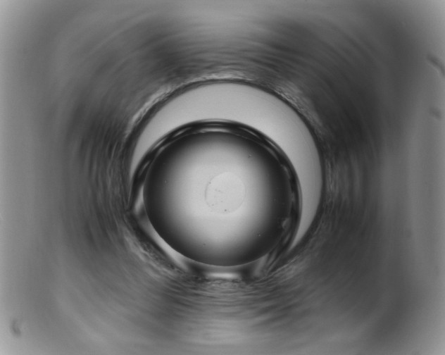 X0000099490300200805151414