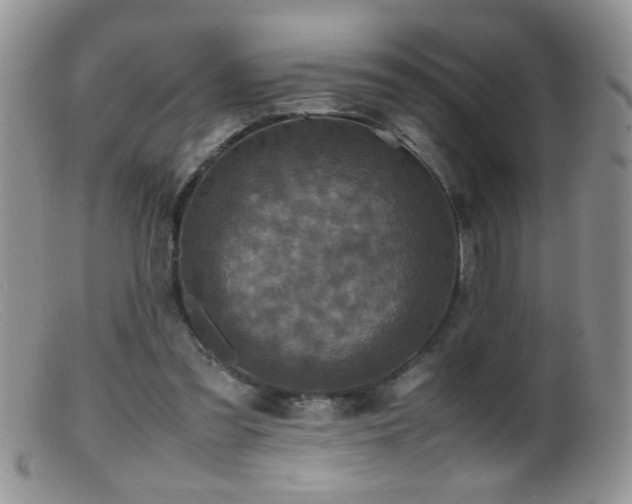 X0000099490301200805151414
