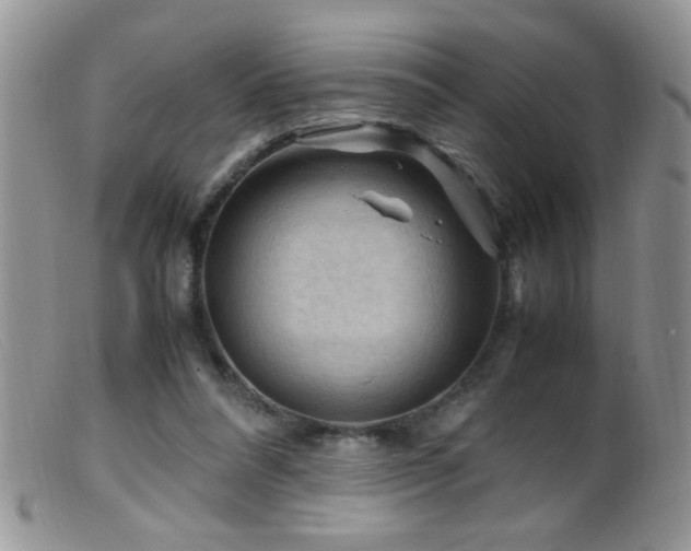X0000099490304200805151413