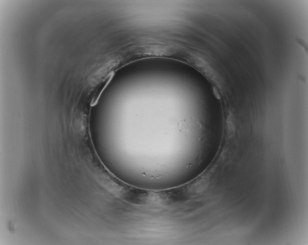 X0000099490305200805151413