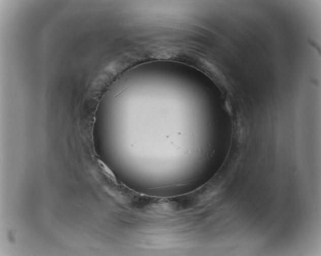X0000099490307200805151413