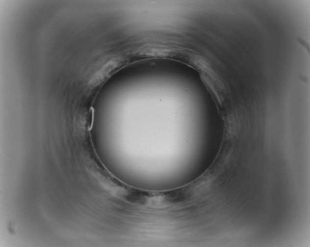 X0000099490309200805151413