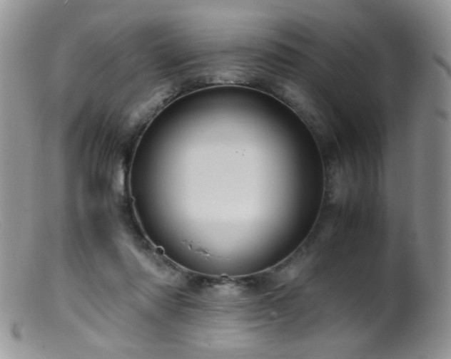 X0000099490310200805151413
