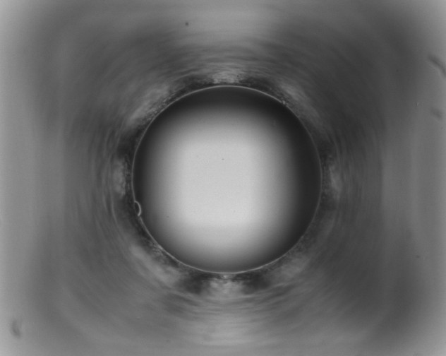 X0000099490311200805151413