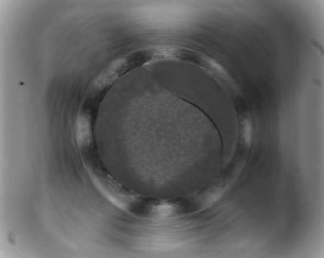 X0000099490312200805151413