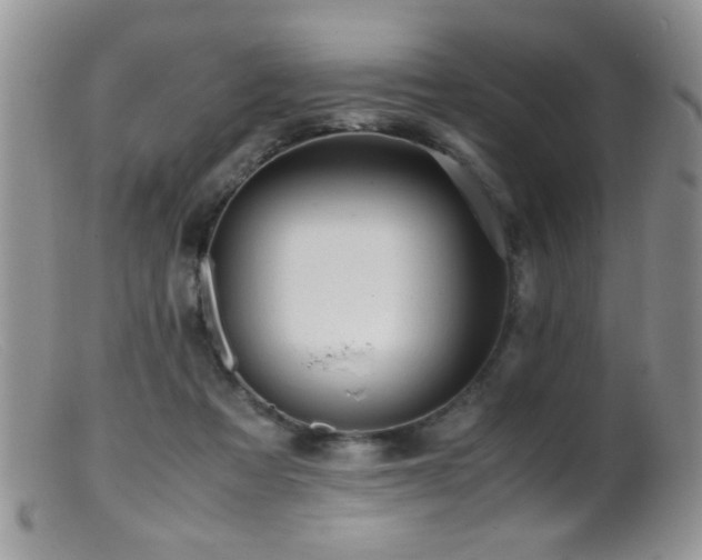X0000099490313200805151413