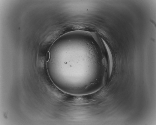 X0000099490315200805151413