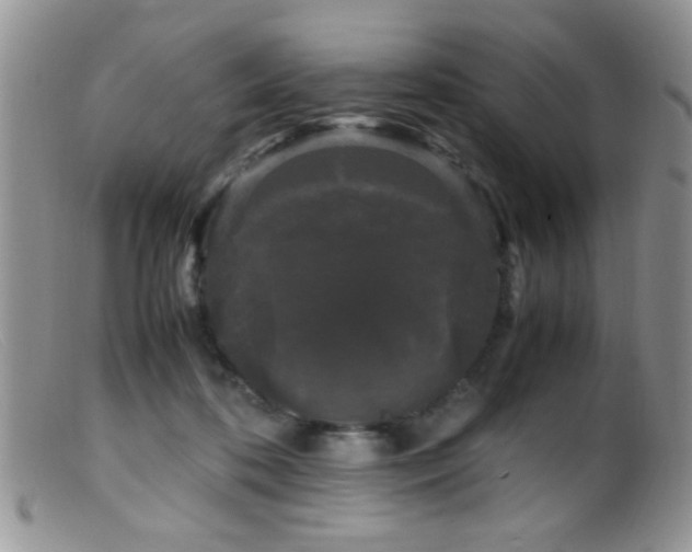 X0000099490316200805151413
