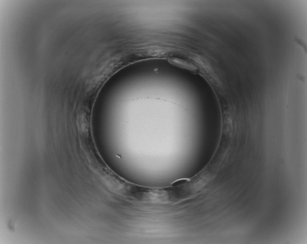 X0000099490317200805151413