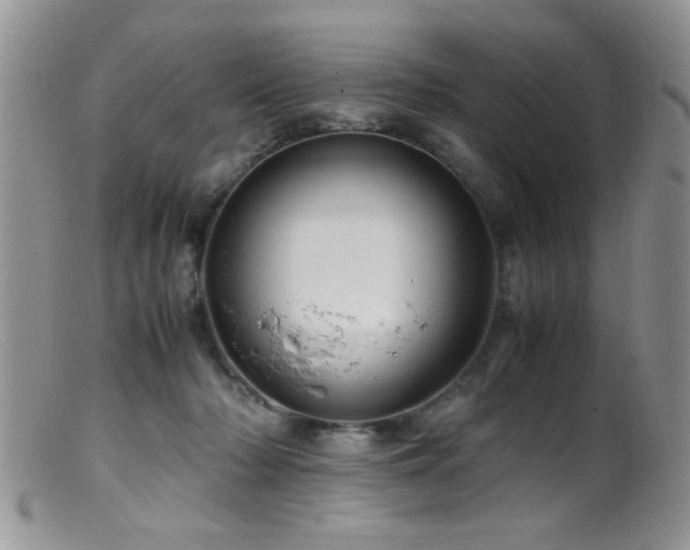 X0000099490318200805151413