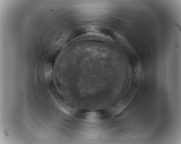 X0000099490320200805151413