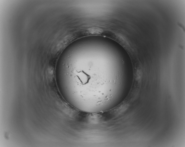 X0000099490321200805151413