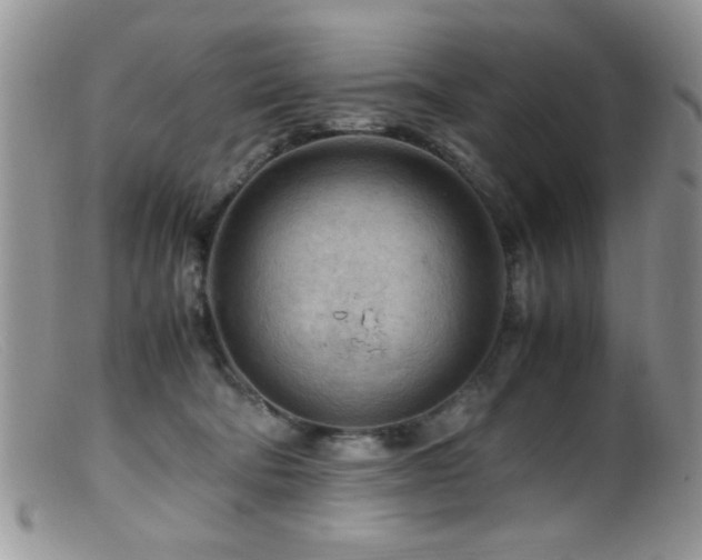 X0000099490322200805151413