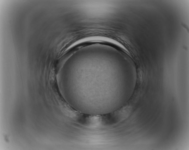 X0000099490325200805151413