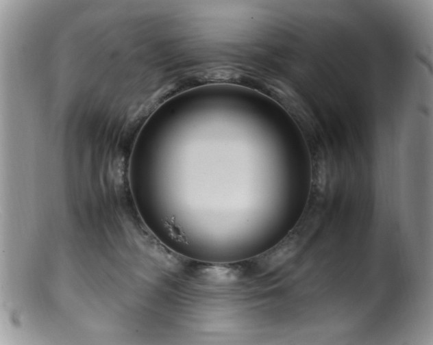 X0000099490326200805151413