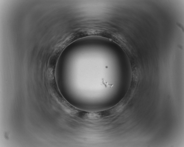 X0000099490327200805151413