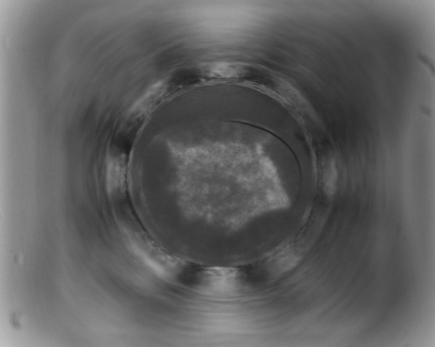 X0000099490328200805151413
