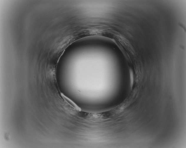 X0000099490329200805151413