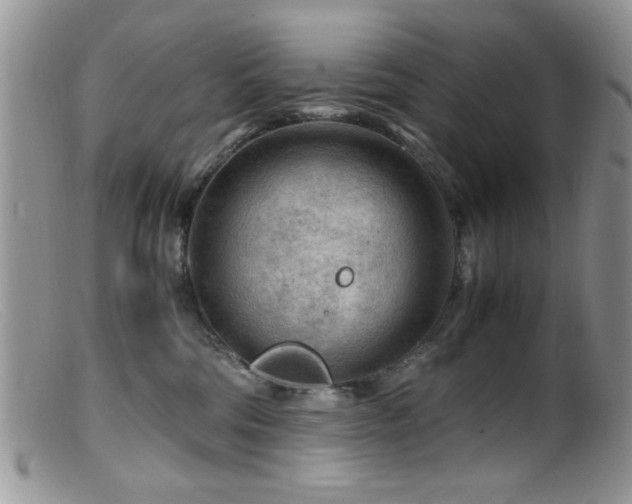 X0000099490330200805151413