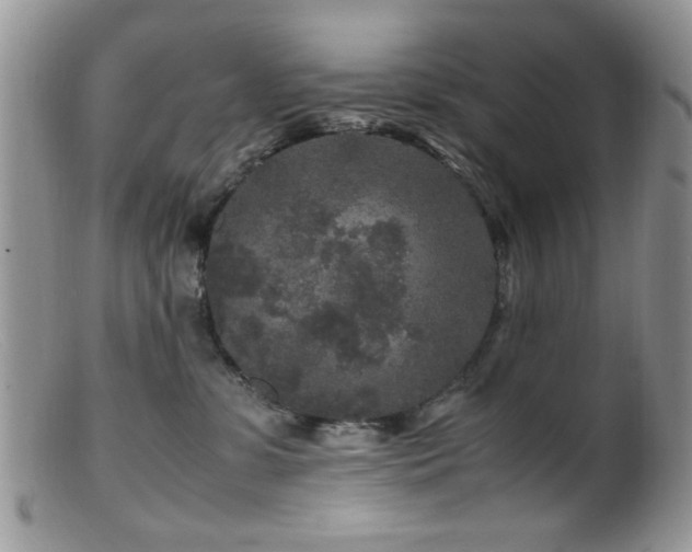 X0000099490331200805151413