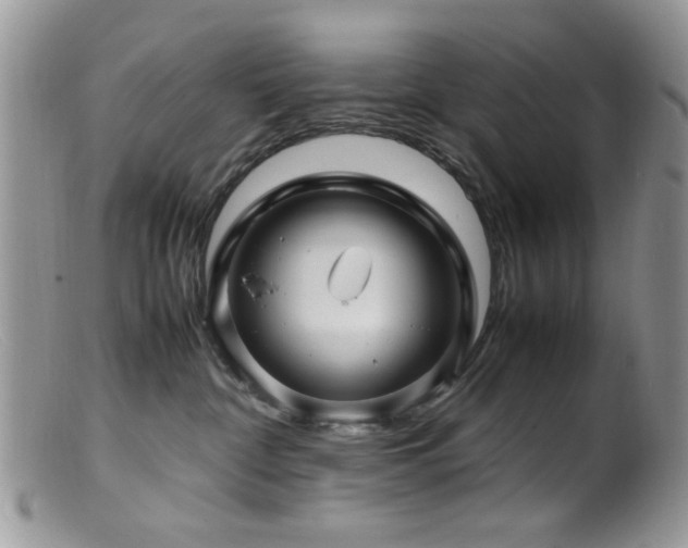 X0000099490332200805151413
