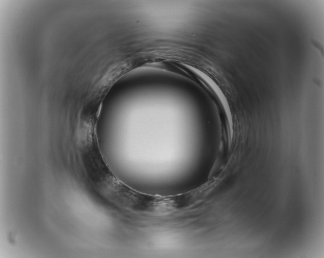 X0000099490333200805151413