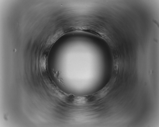 X0000099490334200805151413